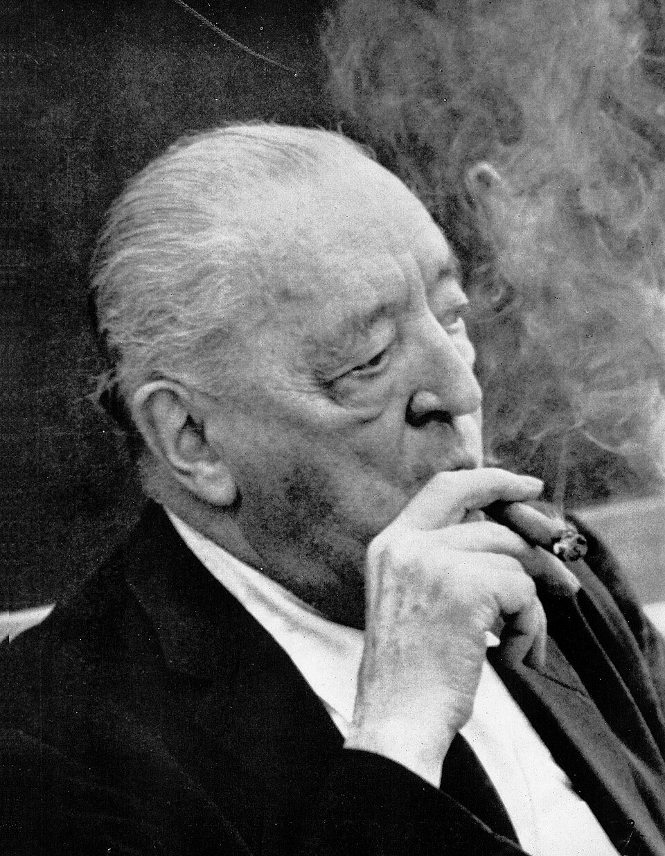 Portrait of Mies van der Rohe
