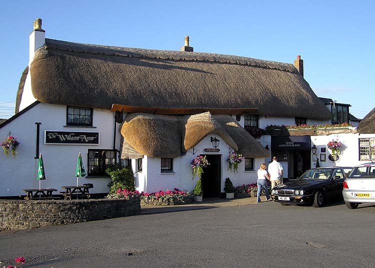Thatching